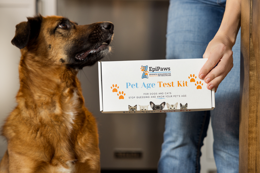 EpiPaws Interviews & Podcast Appearances