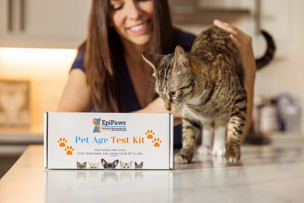 EpiPaws helps owners know and understand what their pet’s age might mean