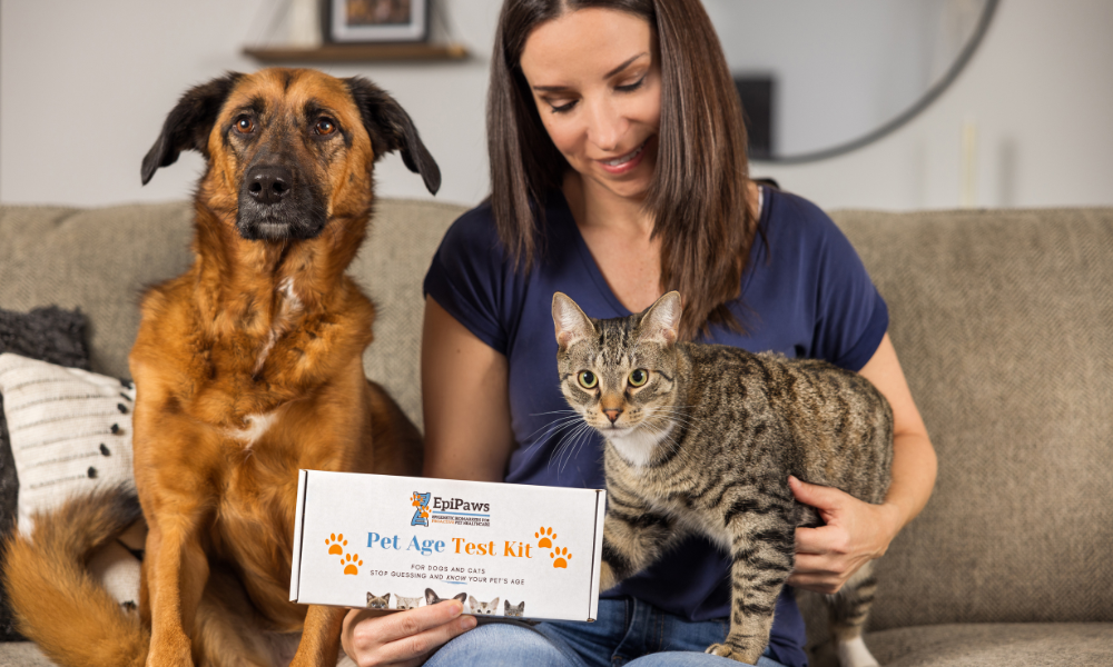 EpiPaws Accepted into Plug and Play’s Animal Health Accelerator and BioTools Innovator Program